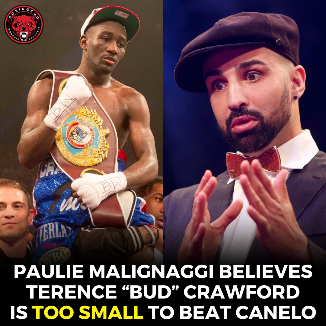 Paulie says Bud too SMALL for Canelo at 168. Is he Snappin or Cappin? #CapOrFact #PaulieMalignaggi #Canelo #BudCrawford #EGO #Boxingego