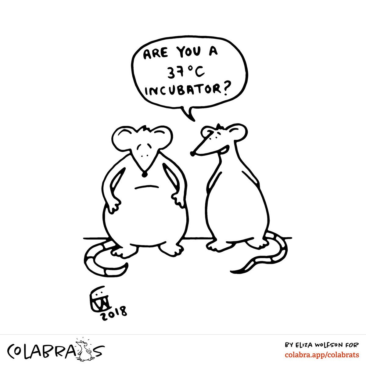 #Colabrats 83: Incubator