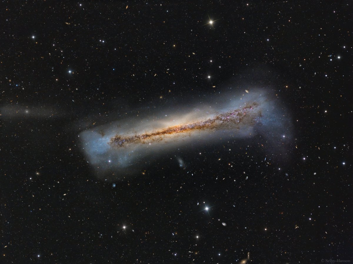 VidyaLa91399435's tweet photo. NASA APOD of 2023-04-14 - Portrait of NGC 3628 #nasa @apod #raspberrypi #TweetBoxBot #Photography #Quote #SpaceX https://t.co/XK6OgY6xgO