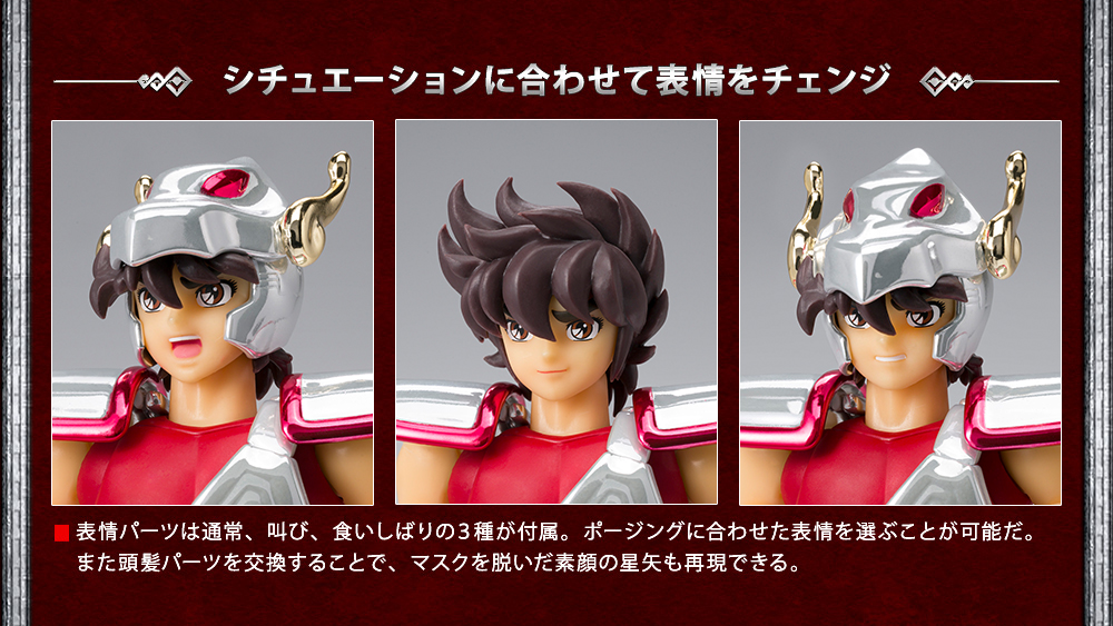 聖闘士星矢　聖闘士聖衣神話　神聖衣5体セット 聖闘士聖衣神話 アンドロメダ瞬 神聖衣-10th Anniversary Edition