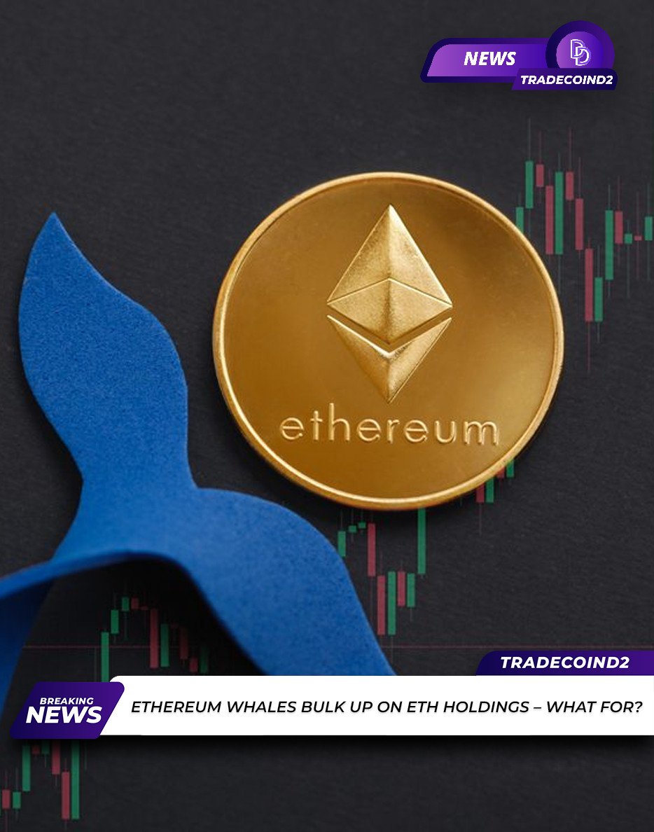CryptoTradeD2's tweet photo. Crypto News

Trade Coin D2 09/07/23

$BTC 25.749/ $ETH 1.636

@TradeCoinD2 @CryptoNewsD2 @QuestD2Earn

Ethereum whales bulk up on ETH holdings – What for? https://t.co/qtA4YHZf6h