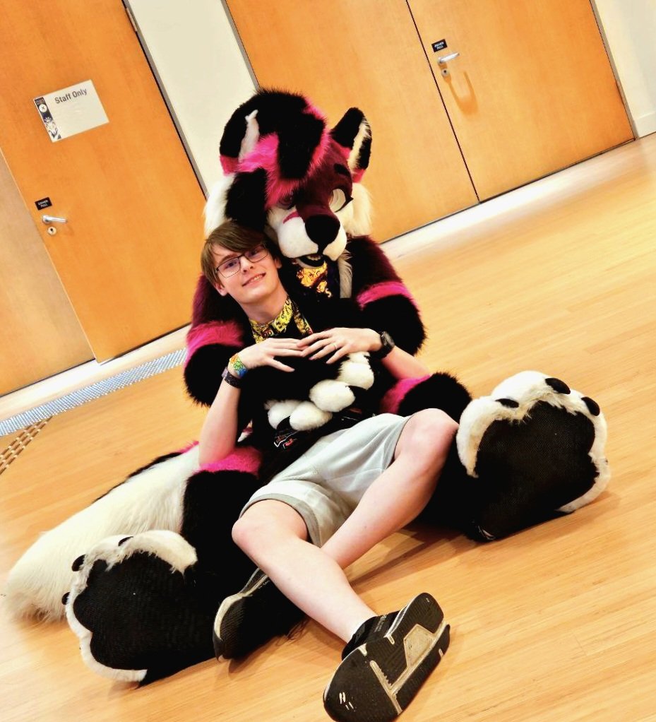 Stainy! 🔜 AWOO tweet media