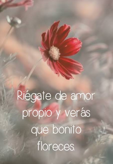 Alejandra Urbina (@auc_koda) on Twitter photo 