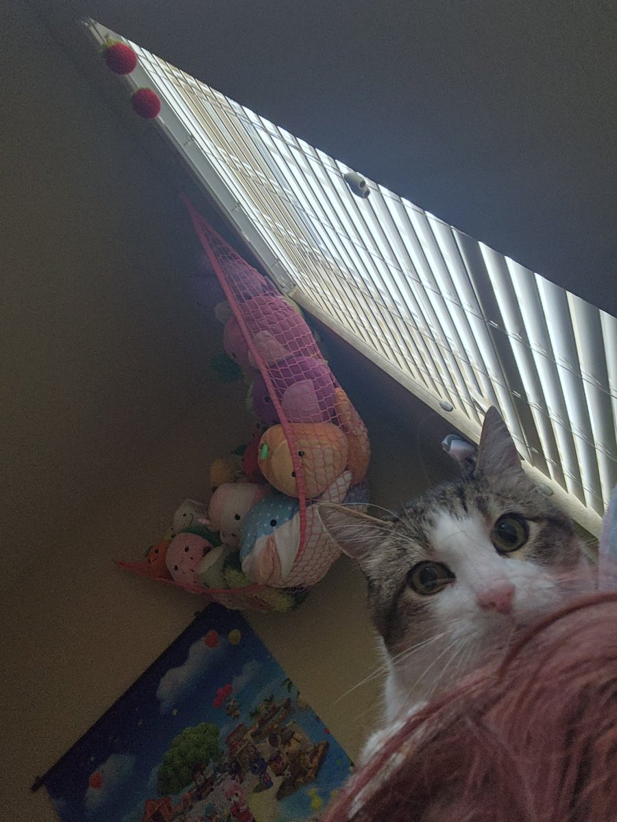 begging momb to post bc she keeps forgetting about this account