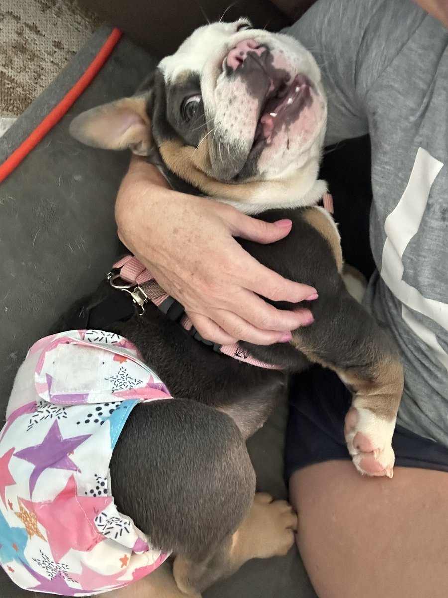 EmmyRose (G💗's sis) & LunaBean tweet media