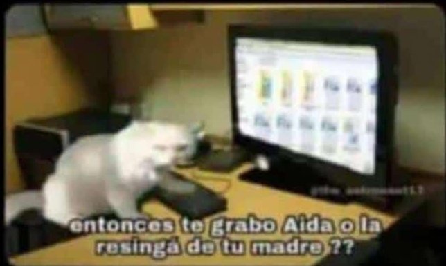 súper tonto 🕷️ tweet media