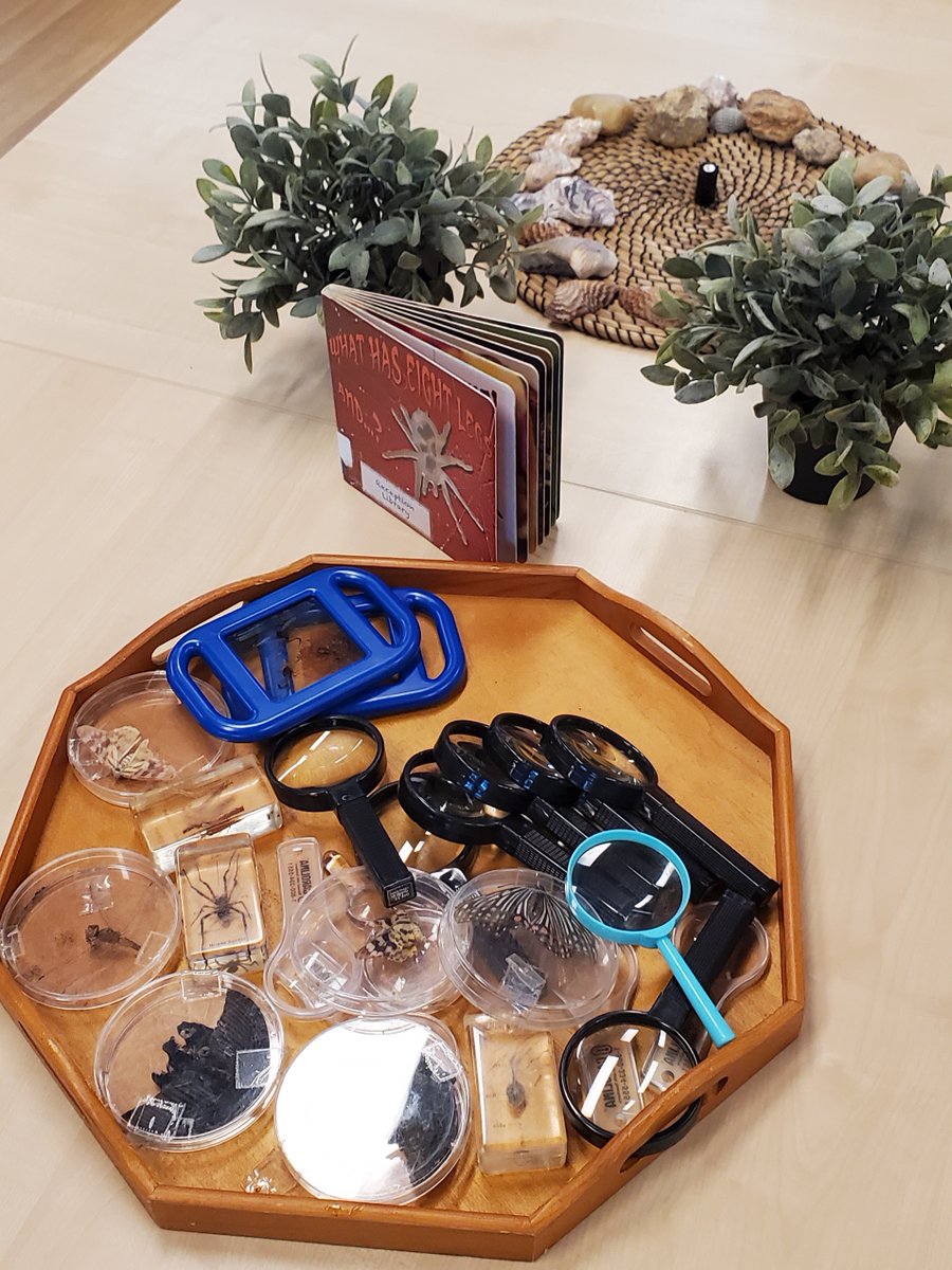mlearning2010's tweet photo. Loving the openness, the invitation to play, and this fab provocation centre on creepy crawlies.  #receptionyears #learningprovocations #playbasedlearning #cishk https://t.co/2srXFBakYV