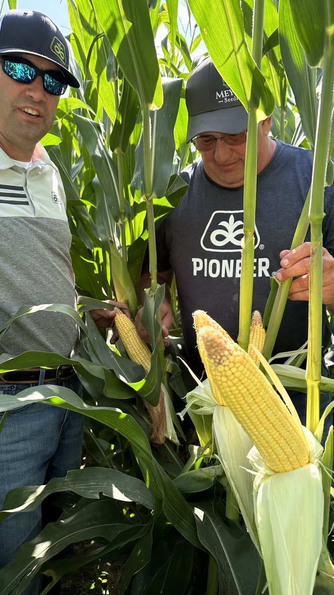 wardynmi's tweet photo. Wyoming &amp; Scottsbluff corn tour.   ⁦@PioneerSeeds⁩ ⁦@csauder34⁩ ⁦@CaseyJagers⁩ https://t.co/kAY0lhSR5k