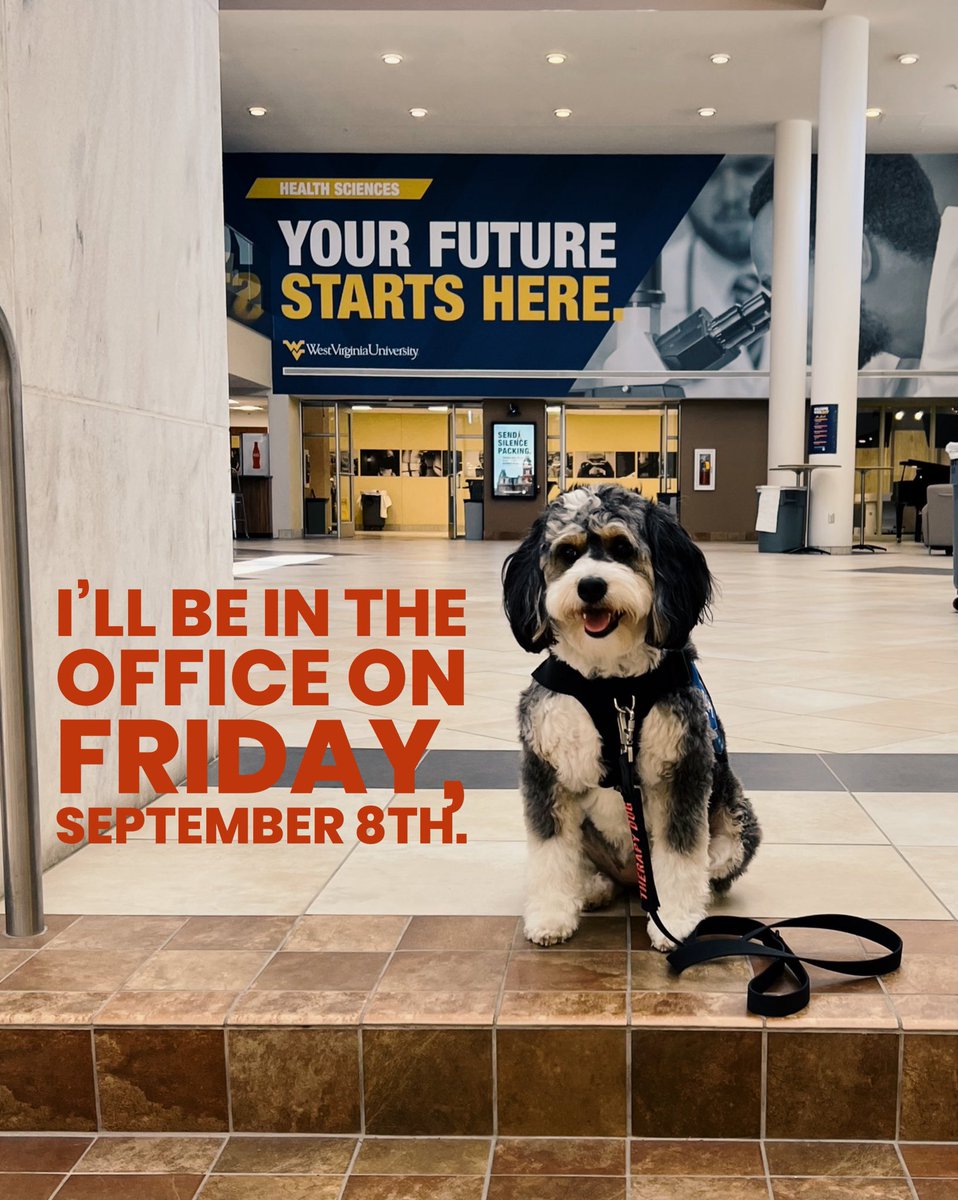 Mila will be visiting @WVUhealth on Friday! The @wvuresearchgrad Office of Research and Graduate Education (Erma Byrd Ground Floor) will have a sign posted when she is there. #dogsofwvu #workingdogsofwvu #therapydog #visitationtherapydog #bernedoodle