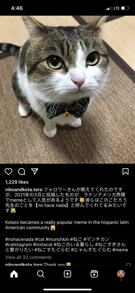 Luna⁷ 💌 tweet media