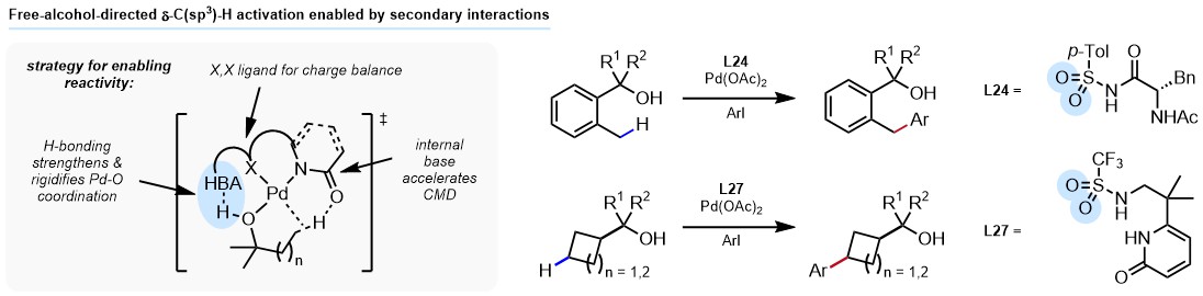 Developed H-donor catalyst for recruiting COOH, now H-acceptor catalyst for binding OH, Nature: 10.1038/s41586-023-06485-8. Enzymes can use multiple contact points to direct, we only have one, thus needs precise distance and geometry.<a href="/JacobsenLab/">Jacobsen Lab</a> <a href="/HoveydaLab/">Hoveyda Lab</a> <a href="/MillerGroupYale/">Miller Group</a>