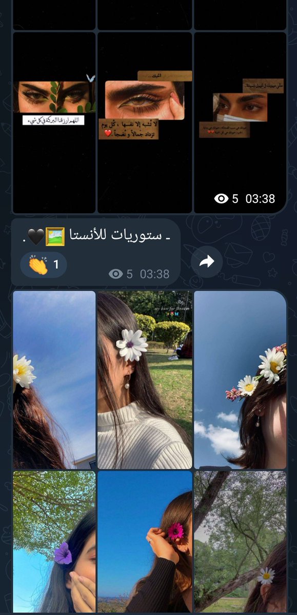 Zulfiqar534's tweet image. اخوان فتحت تيليجرام طلعوا ضايفين بجروب بنات وكله ستوريات انستا و صور و ما اعرف منو ضافني 🙂👍