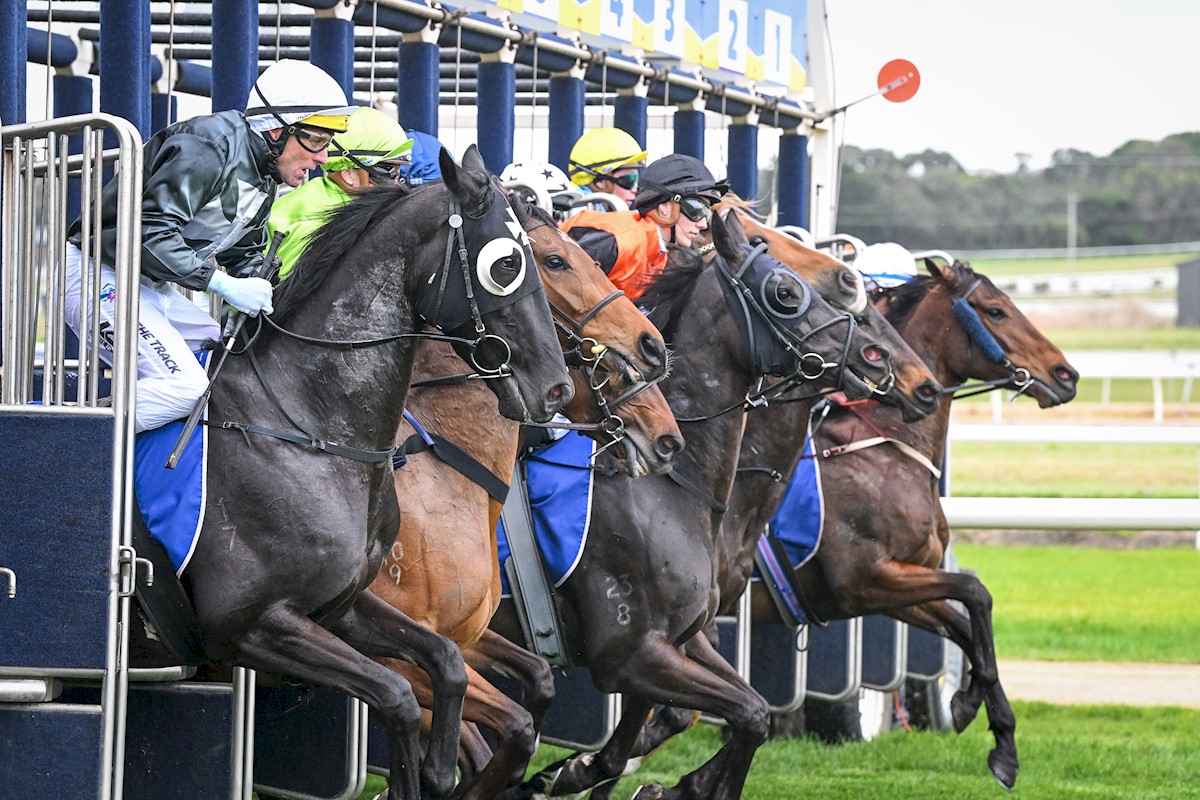 wboolracingclub's tweet photo. We had a great day of racing on Monday, with plenty of members and racegoers on course. The sun even shined! Thank you to our sponsors for their support 🌞🙌🐎 https://t.co/SW0vsje900