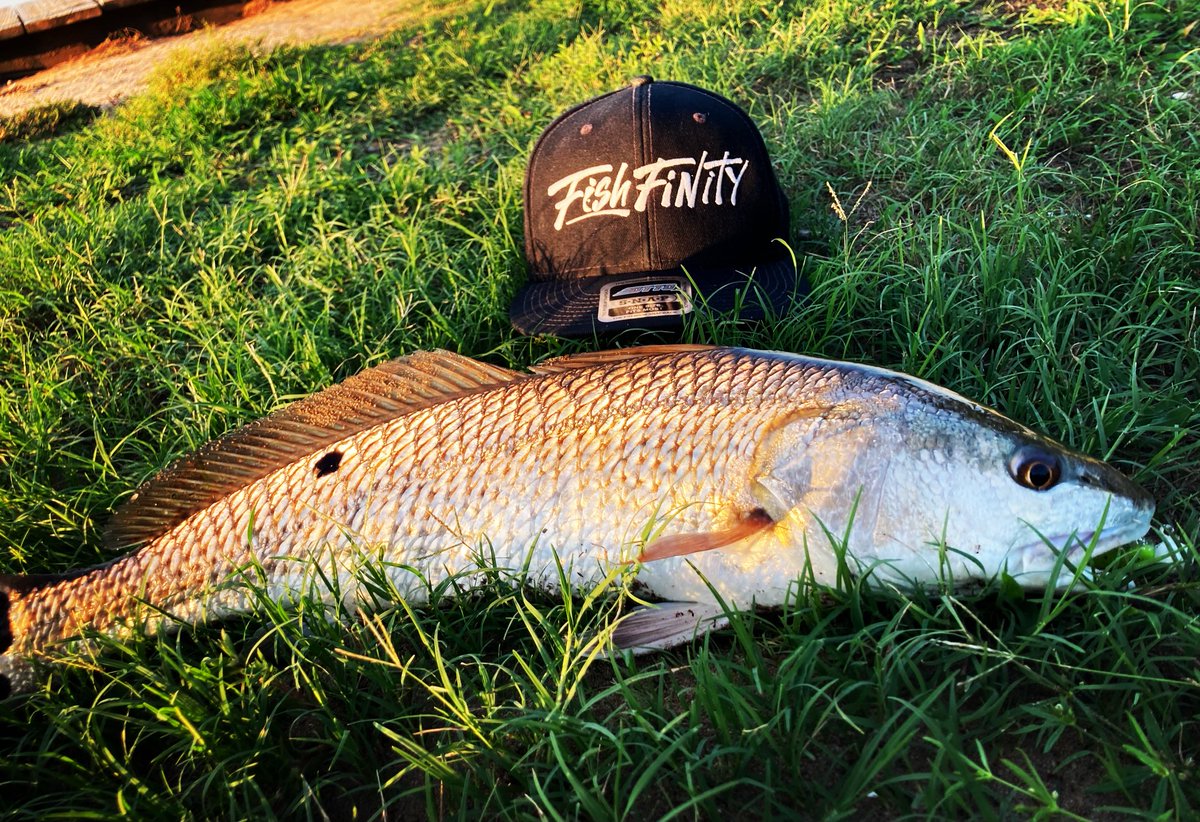 Amazing time spent at the water!

#Florida #Saltwater #Fishing #Apparel