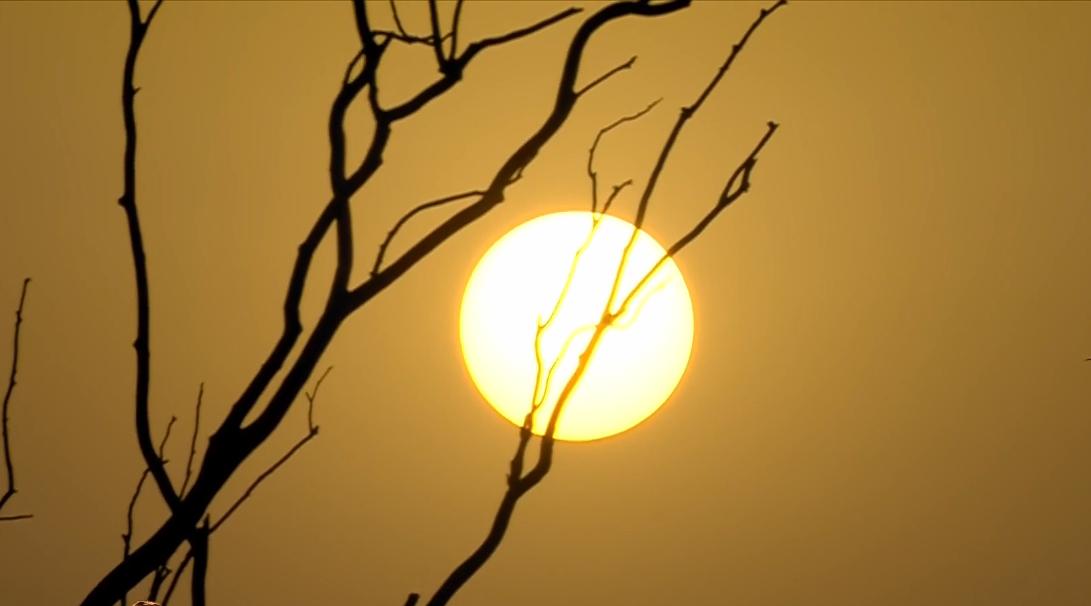 The beauty of the 🌞 
#SunriseSerenity
#GoldenHour
#NaturePhotography
#SunshineVibes
#SunsetMagic
#SkyLovers
#PhotographyIsArt
#SunsetGlow
#ScenicViews
#SunriseSpectacle
#NatureBeauty
#SkylineCapture
#OutdoorAdventures
#SunsetChaser
#SunriseMoments