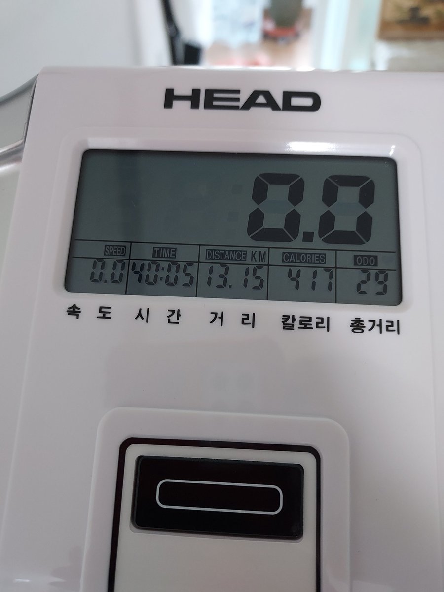 모닝 사이클 n.004