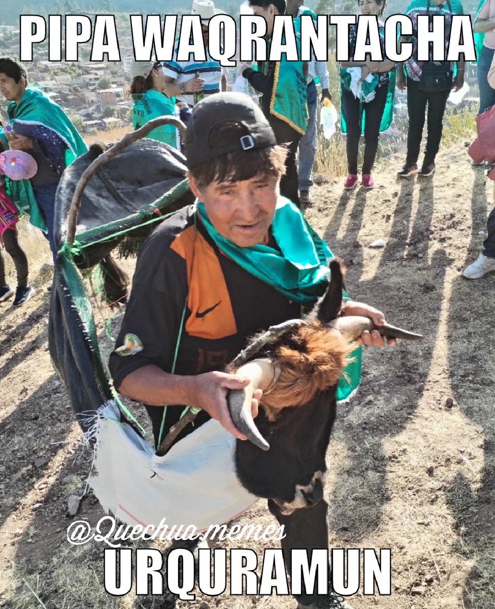 Dice : de quien su cacho habrá sacado
#quechua #memes