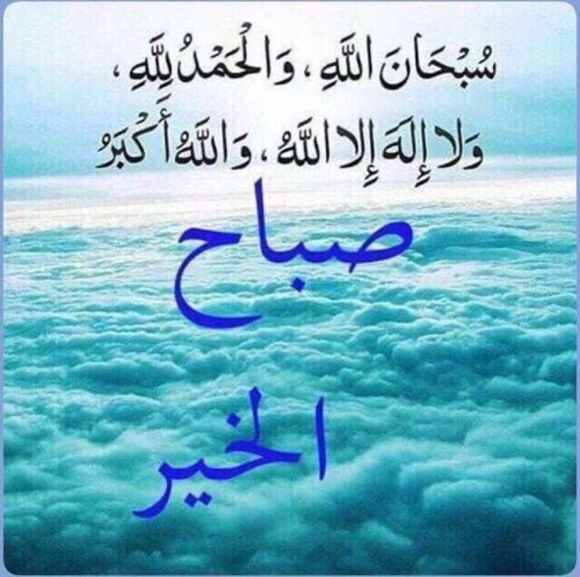 sarasaman8's tweet photo. https://t.co/7jG5LeLPng