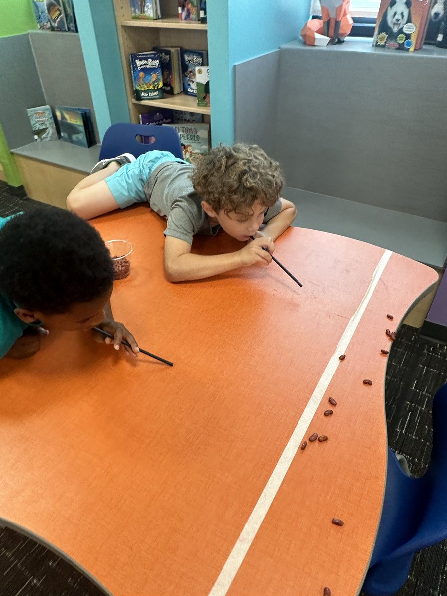 Amy_BakerLMS's tweet photo. After reading The Cool Bean by @IamJoryJohn &amp; @peteoswaldart and discussing kindness, 2nd graders @WilkersonElem had “cool bean” races. So much fun!!! @JCPS_LMS #jcpslibraries #minutetowinit https://t.co/faA5Mnj1xa