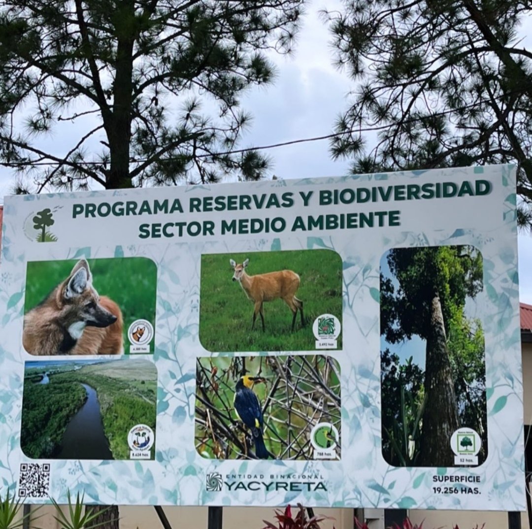 josealvarengab's tweet photo. Hoy estuvimos por la oficina sede Ayolas a primera hora, para luego ir a conocer el programa de reservas y biodiversidad
📌 Que consiste en el establecimiento y manejo de áreas protegidas, destinadas a la conservación y recuperación de la flora y la fauna nativa. https://t.co/nXoJixcP9N