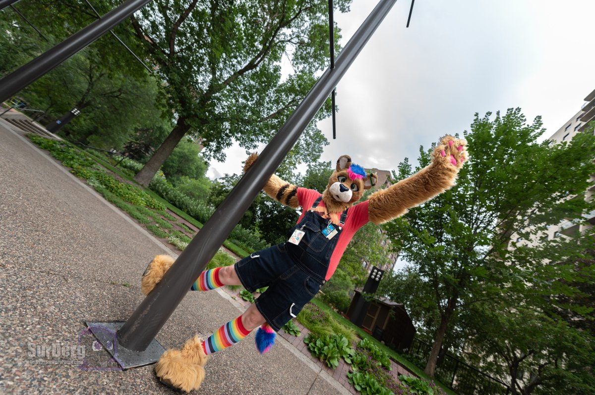 LionNamedColin's tweet photo. Be sure to come look for me at #furrymigration2023 https://t.co/sqLJ76Vlxx