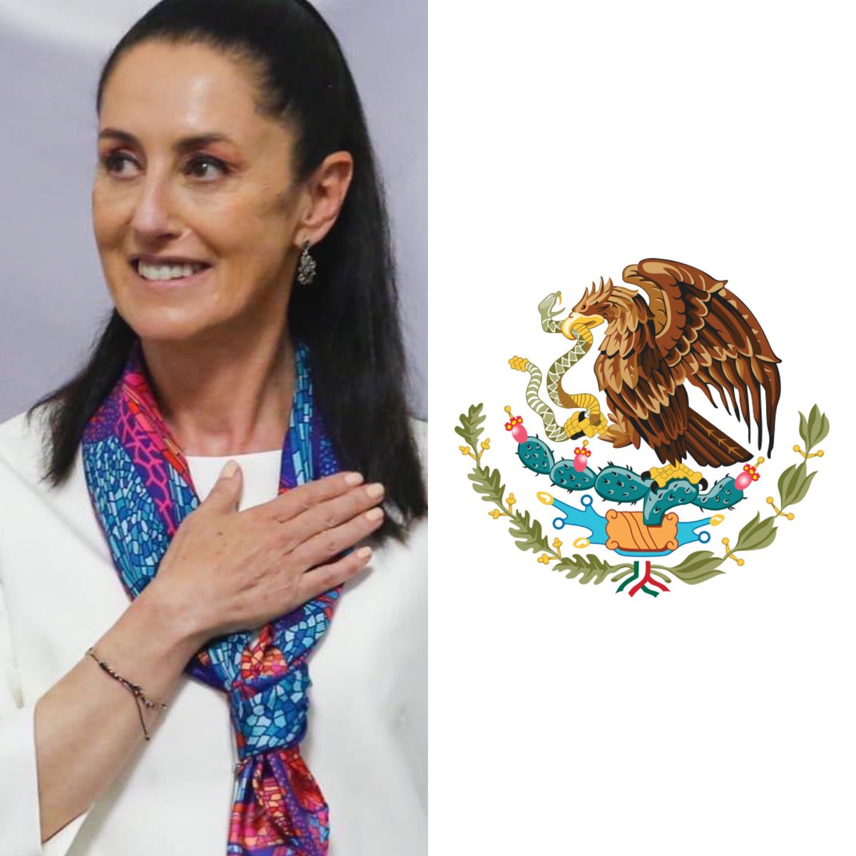 CerebrosG's tweet photo. ¡DE ÚLTIMO MOMENTO OFICIAL!

CLAUDIA SHEINBAUM HA SIDO LA ELEGIDA PARA SER LA CANDIDATA DE MORENA.

SHEINBAUM TENDRÁ LA POSIBILIDAD DE CONVERTIRSE EN LA PRIMERA MUJER PRESIDENTE DE MÉXICO.

MARCELO EBRARD NO SERÁ EL CANDIDATO DE MORENA. https://t.co/vEKapvjQ45
