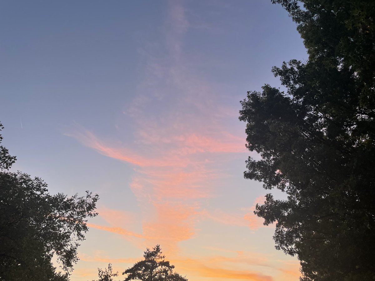 Derrick Robinson tweet media