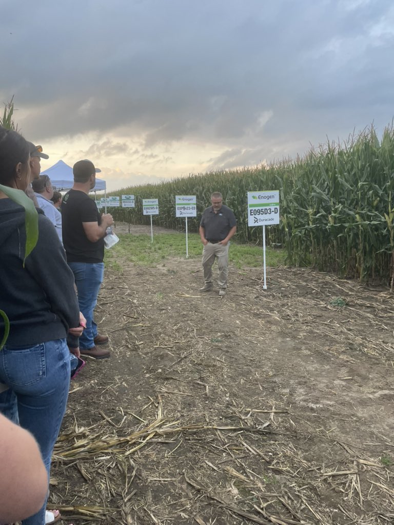 Doug Helm tweet media