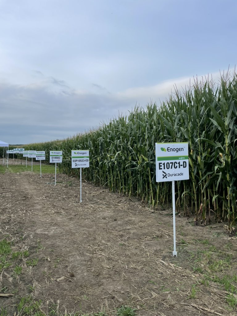 Doug Helm tweet media