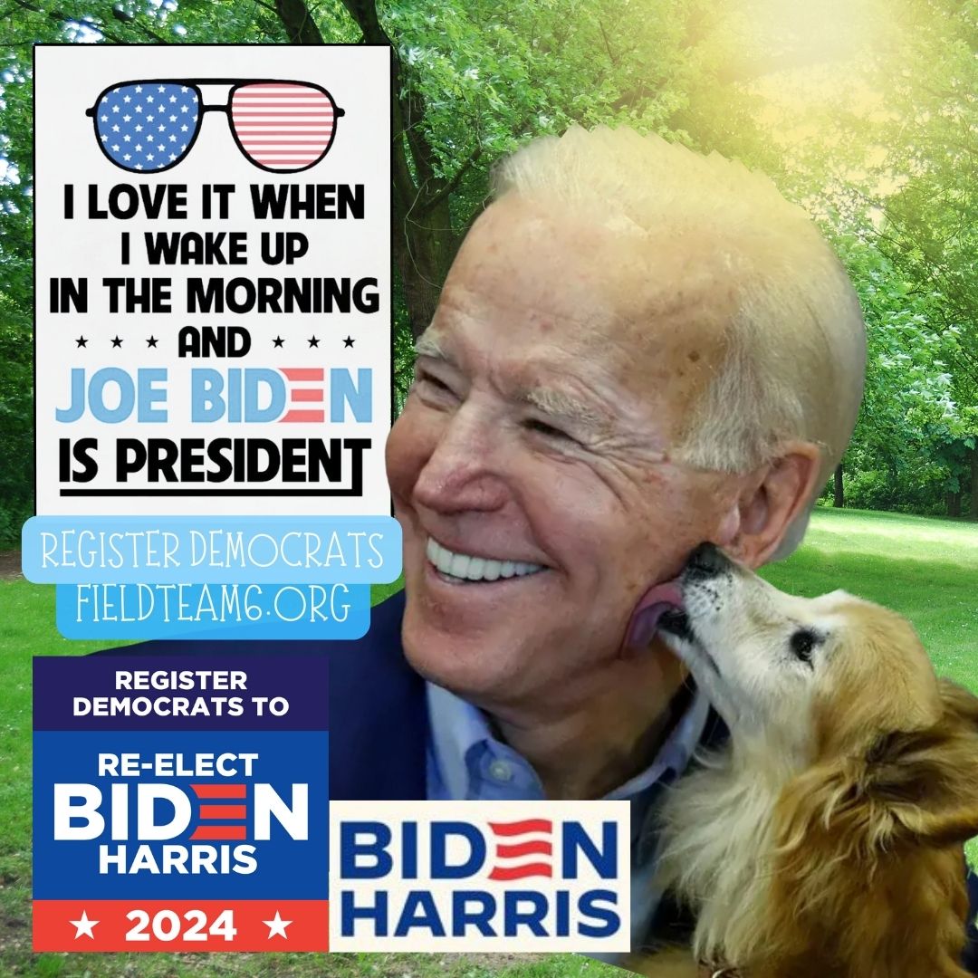 Today is Thursday and National Buy a Book Day. It’s also a great day to register Democrats!

Tell me how much you want Biden re-elected on a scale of  💙  to  💙💙💙💙💙. 

Then retweet so we can grow our Blue Wave and be #StrongerTogether!
#Voterizer