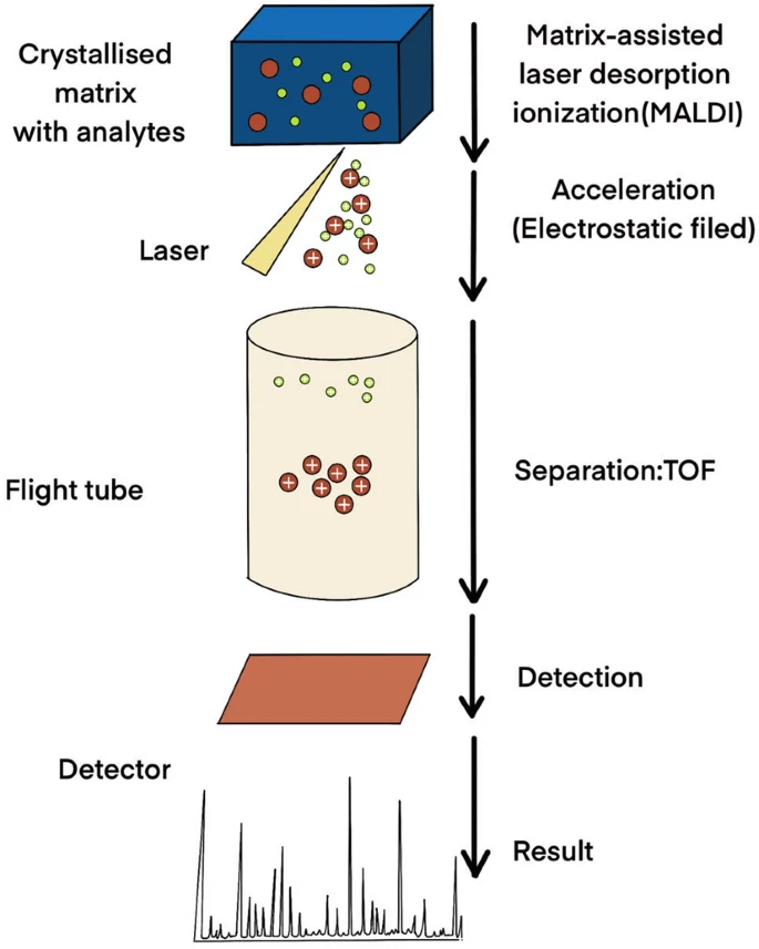 yakzaf's tweet photo. Hypervirulent Klebsiella pneumoniae detection methods: a minireview.
#Klebsiella #detection #minireview
https://t.co/v1Yom1SGem
#ArchivesOfMicro
#UniversityofChineseAcademyofSciences
@SpringerMicBio
@SpringerNature https://t.co/8BFvbz2rFk