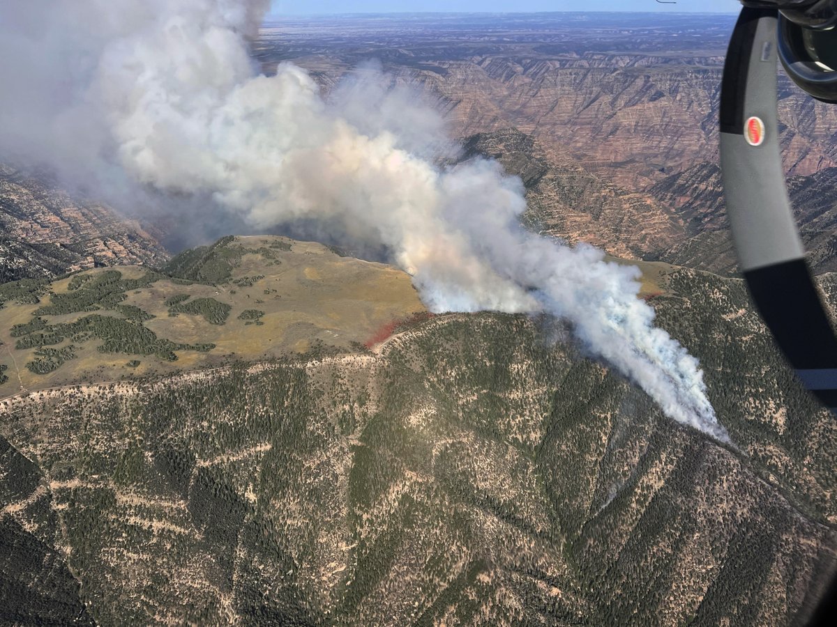 UtahWildfire's tweet image. A spot fire from the #LighthouseFire in Emery Co. is producing smoke that's visible in E. Utah and W. Colorado. One plane, 2 helos, 3 engines &amp;amp; 12 smokejumpers working to suppress fire &amp;amp; protect nearby structure. #blmgl #2023fireseason