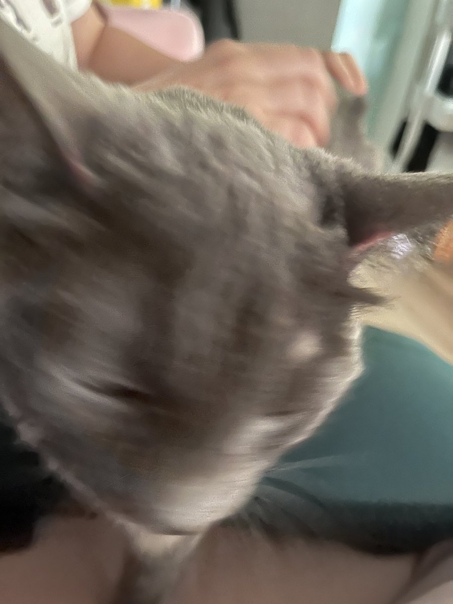 Khoi Dao tweet media