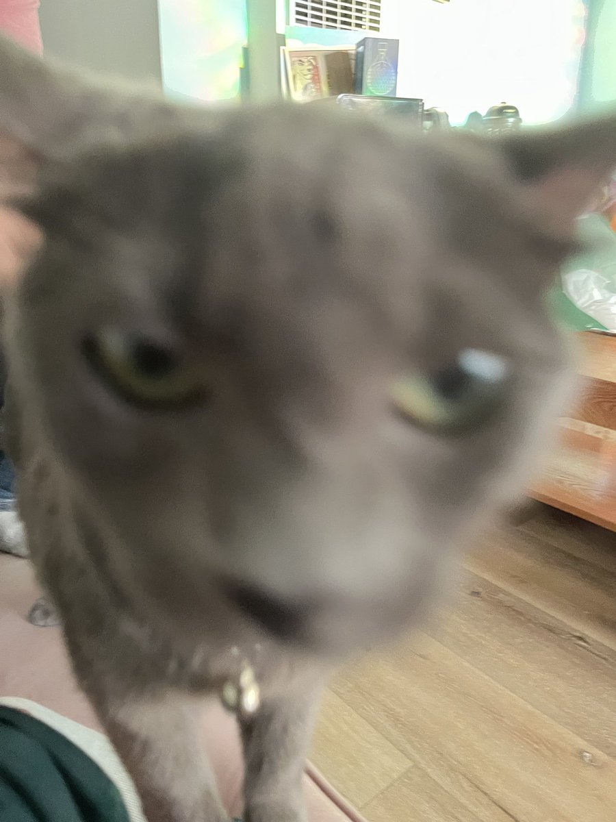 Khoi Dao tweet media