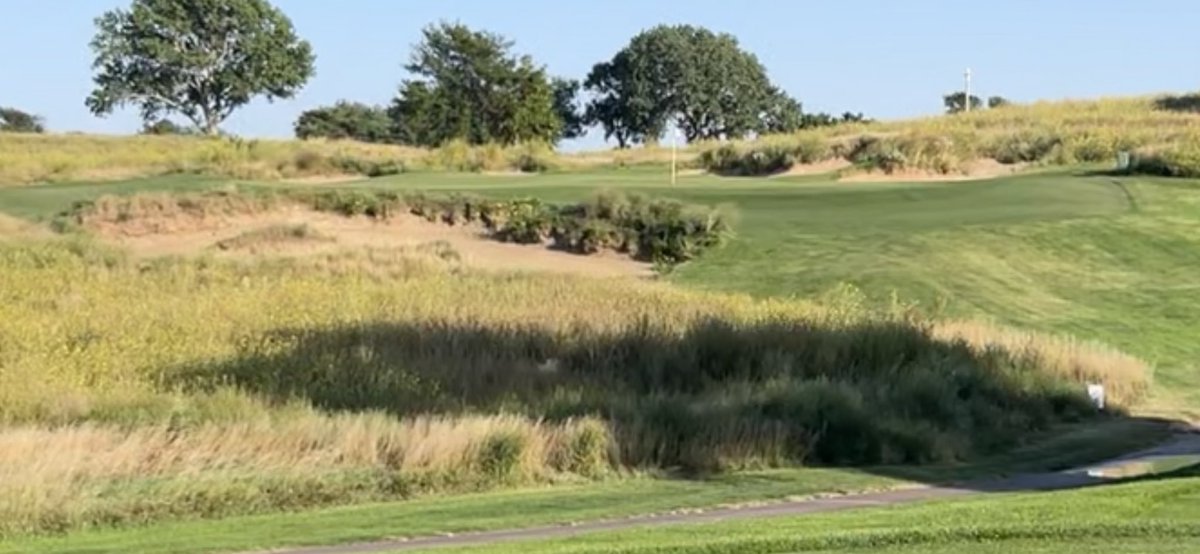 CE Golf Design tweet media