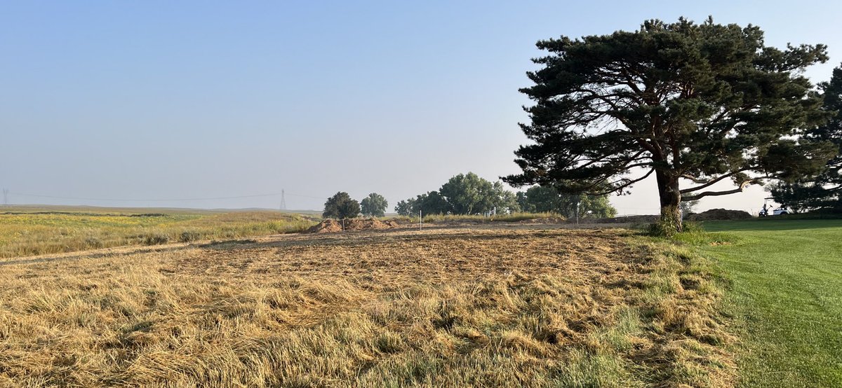 CE Golf Design tweet media