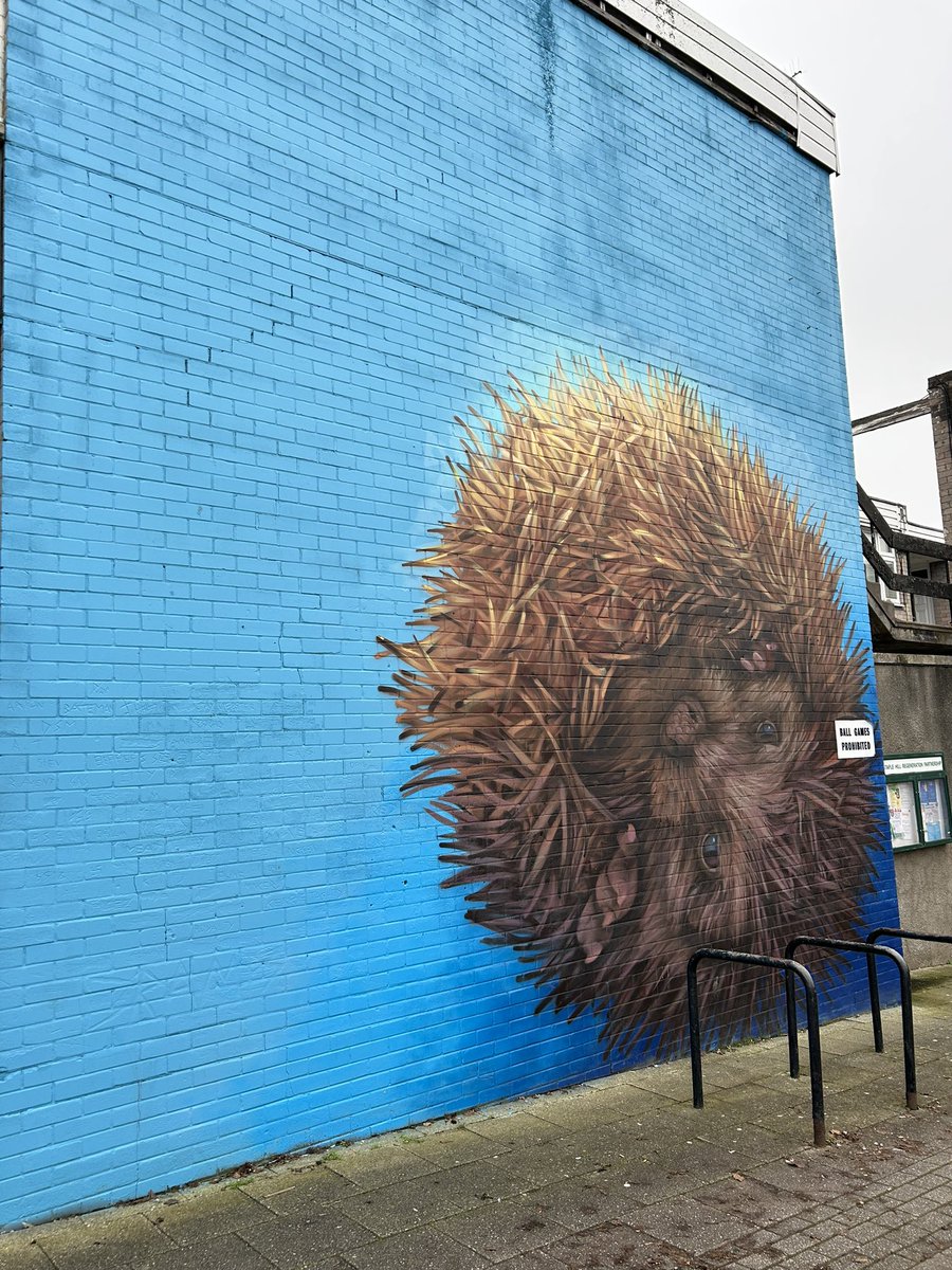 Iain Nicholson, The Vacant Shops Academy tweet media