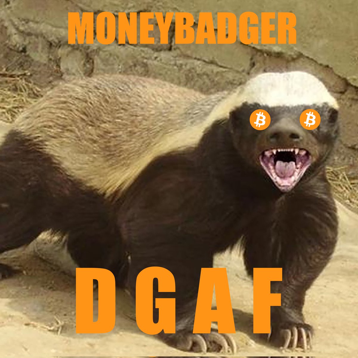 druidian's tweet image. #OptOut #UseBitcoin