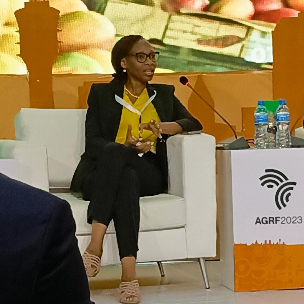 Ms. Binta Touré Ndoye, AGRA Board Member - Commercial banks have failed on financing agriculture