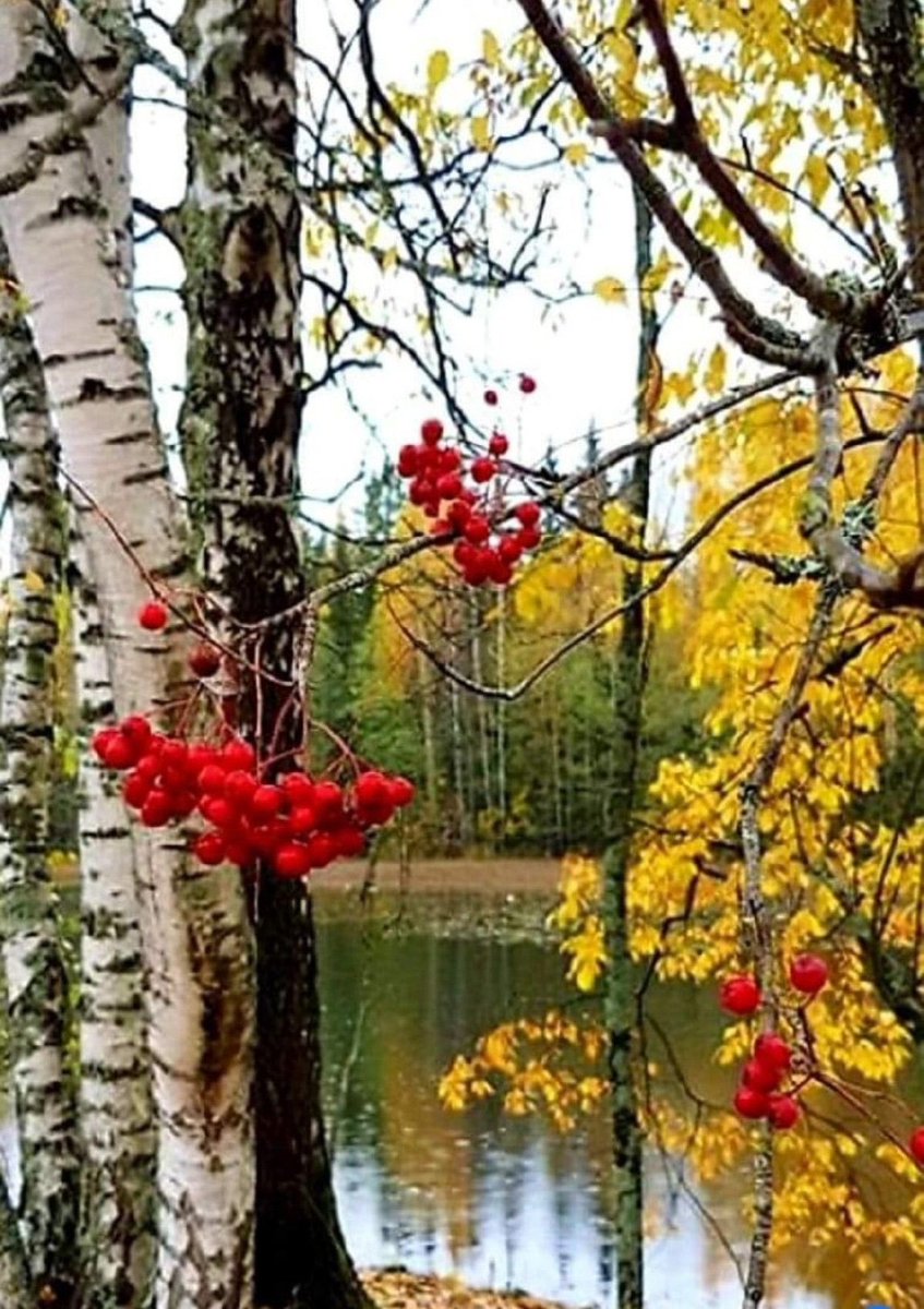 #AutumnIsComing 🍒🍂