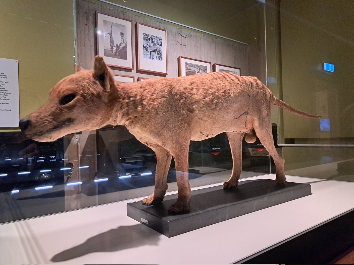 Jack Ashby tweet media