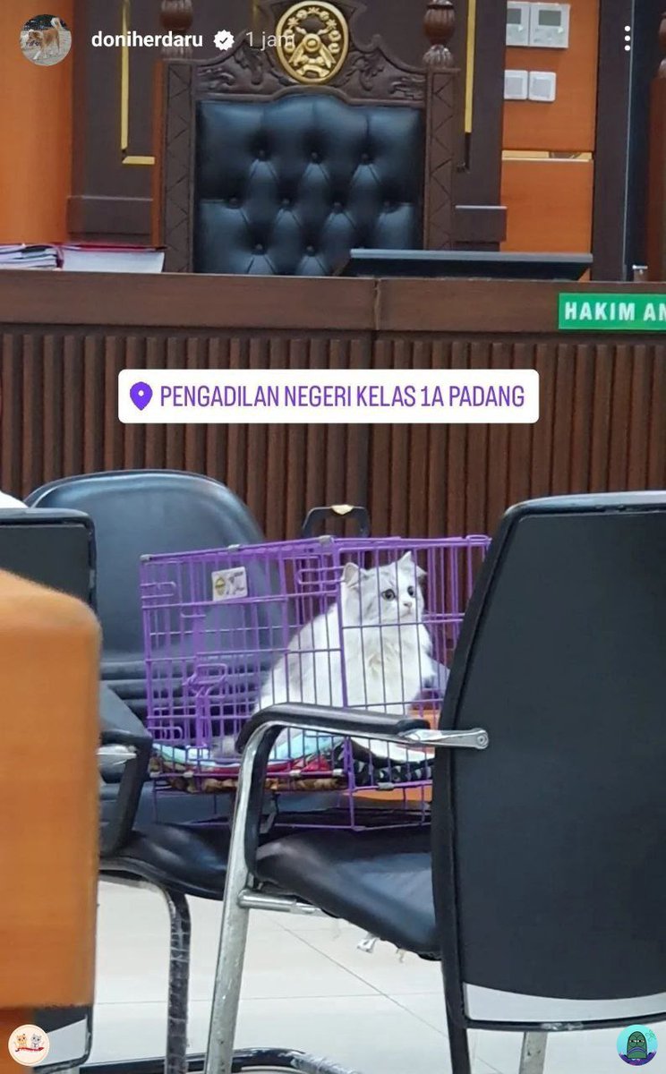 tanyakanrl's tweet image. 💚 majikan secantik ini malah dicekokin miras ama babunya 😥