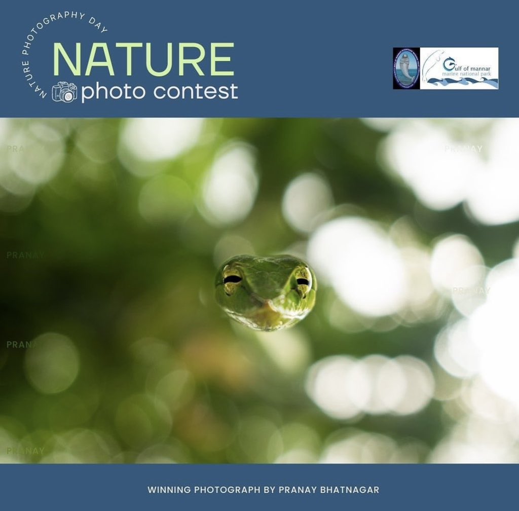 Pranay Bhatnagar tweet media