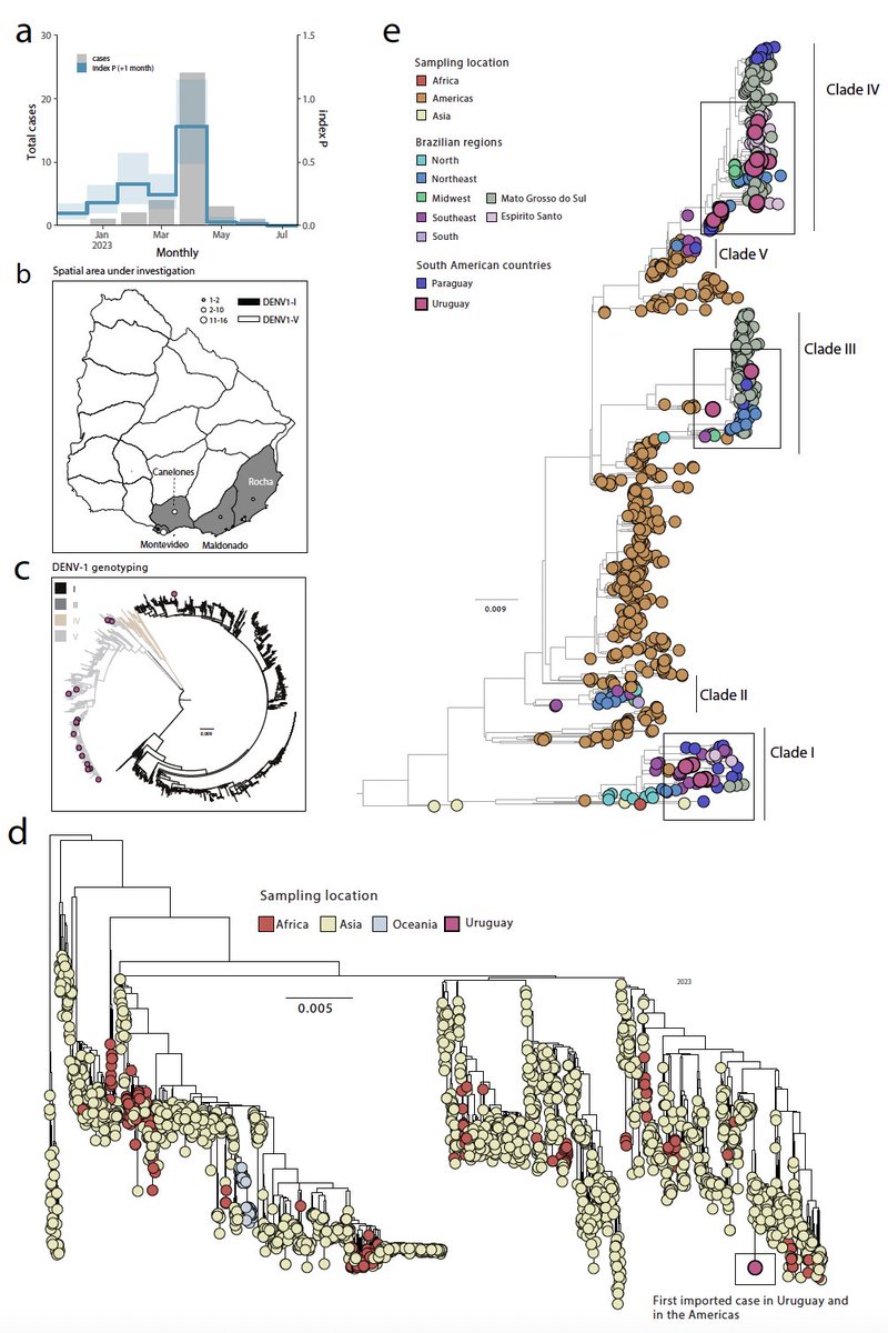 Marta Giovanetti (@mittenavoig) on Twitter photo New Preprint Alert! In this study, we present the first whole-genome sequences of the Dengue virus from Uruguay, including the first-ever reported case of DENV1 genotype I in the region! More here: doi.org/10.1101/2023.0…
@LourencoJML <a href="/vagnerf0nseca/">Vagner Fonseca</a> <a href="/lalcan40/">Luiz Alcantara</a> <a href="/Hector/">Héctor Martín</a> <a href="/pahowho/">PAHO/WHO</a> New Preprint Alert! In this study, we present the first whole-genome sequences of the Dengue virus from Uruguay, including the first-ever reported case of DENV1 genotype I in the region! More here: doi.org/10.1101/2023.0…
@LourencoJML <a href="/vagnerf0nseca/">Vagner Fonseca</a> <a href="/lalcan40/">Luiz Alcantara</a> <a href="/Hector/">Héctor Martín</a> <a href="/pahowho/">PAHO/WHO</a>