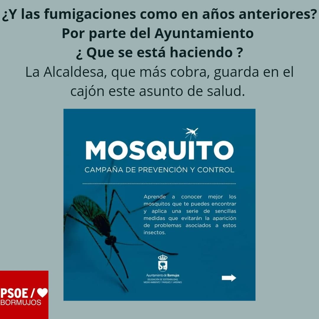 PSOE Bormujos tweet media