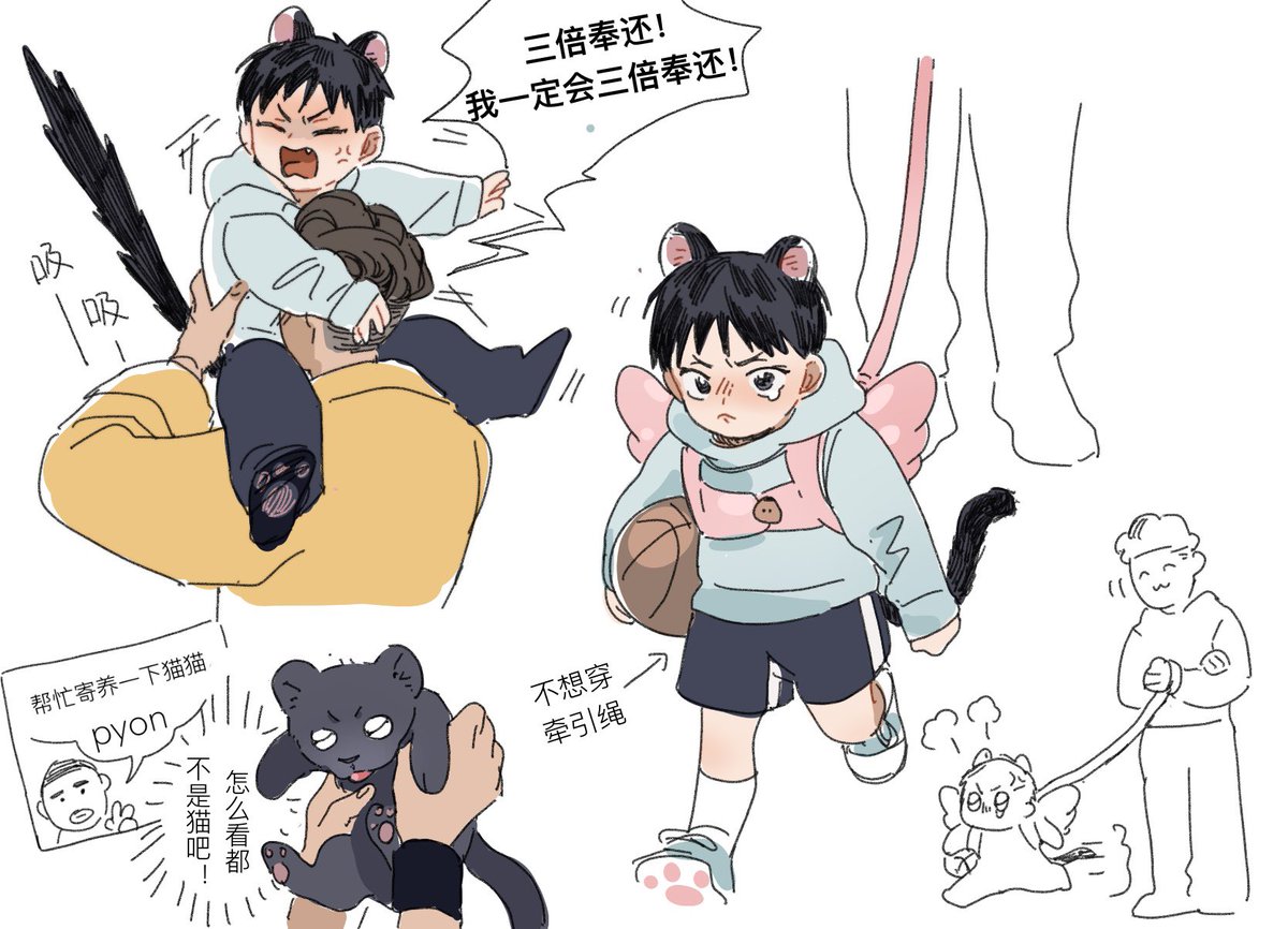 nixing_'s tweet photo. 97日！良田养猫日记
#SawaryoDay2023 https://t.co/75sqRWVPAo