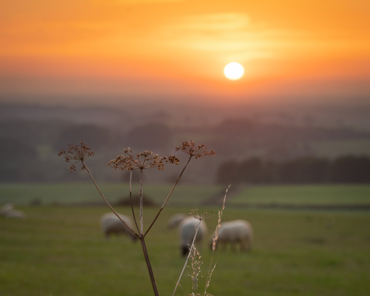Sunset near #Brampton #Cumbria 6 September 2023