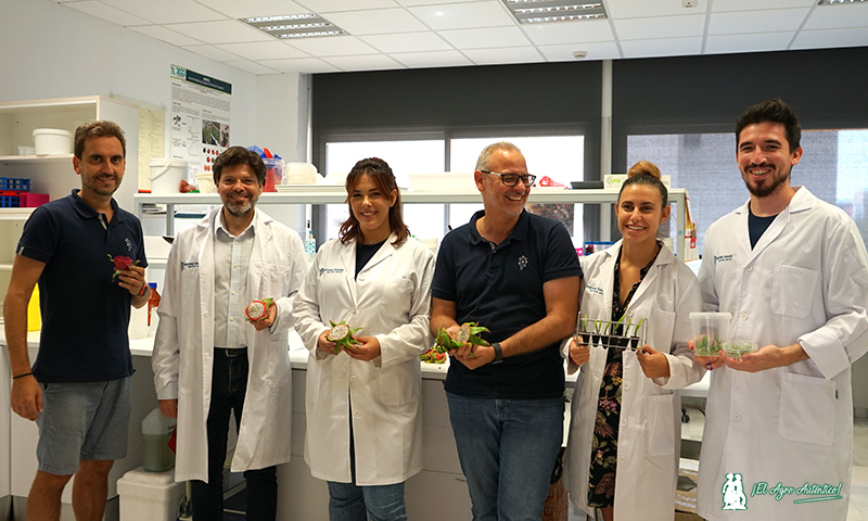 jaarcossanchez's tweet photo. 🔝🔝🔝Llegan las primeras pitahayas con genética almeriense
✍️https://t.co/9cPueGTJTk
📌Nuevos cultivos alternativos
📌Tras años de investigación #BeyondSeeds adapta la fruta del dragón a las condiciones mediterráneas
📌La #pitahaya ahorra costes, es productiva y liquida alto https://t.co/gqmurB2XZs