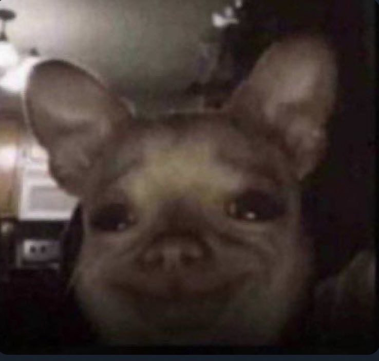 Cold Zobo🦉 🥶 tweet media