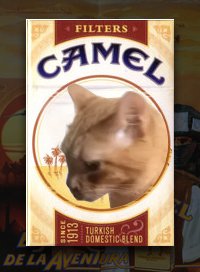PubliciZapp's tweet photo. @jiminie_sp Tenía que hacerlo... jajaja https://t.co/AifIIAKo8A